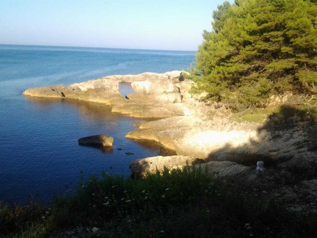 Guest House Aldin Ulcinj Exterior foto
